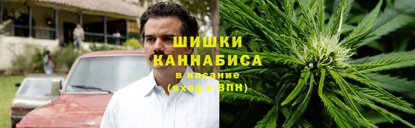 соль ск Дмитриев