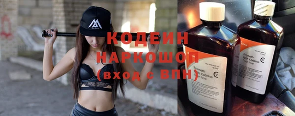 соль ск Дмитриев