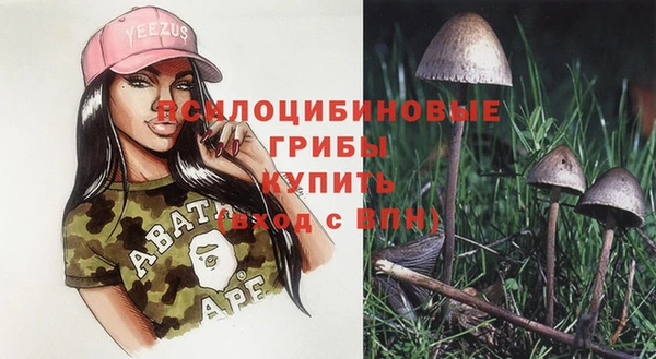 первитин Дмитров
