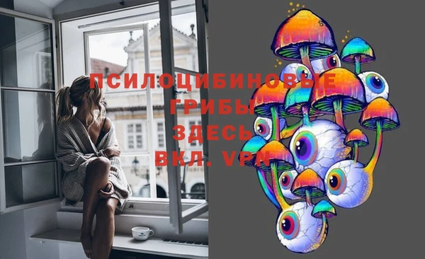 первитин Дмитров