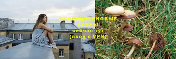 соль ск Дмитриев