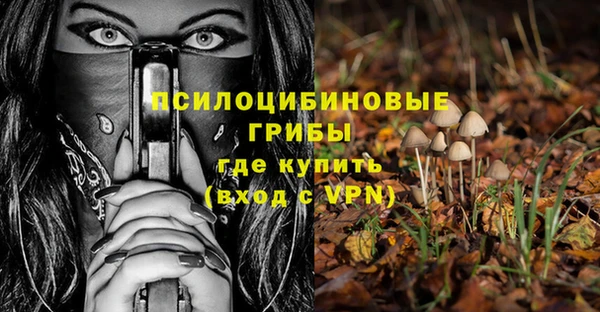 дмт Сатка