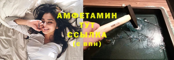 соль ск Дмитриев